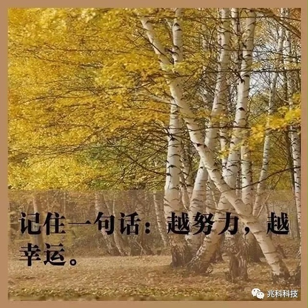 兆科语录.webp