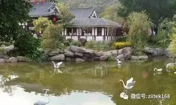 镜花缘